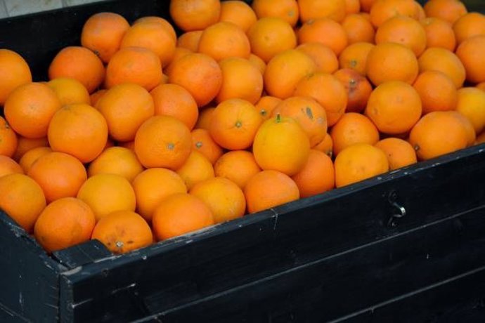 Archivo - Arxiu - Imatge de recurs de cítrics