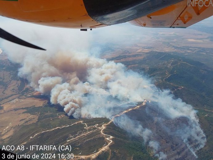 Incendio en el paraje monte La Peña, en el término municipal de Tarifa (Cádiz).