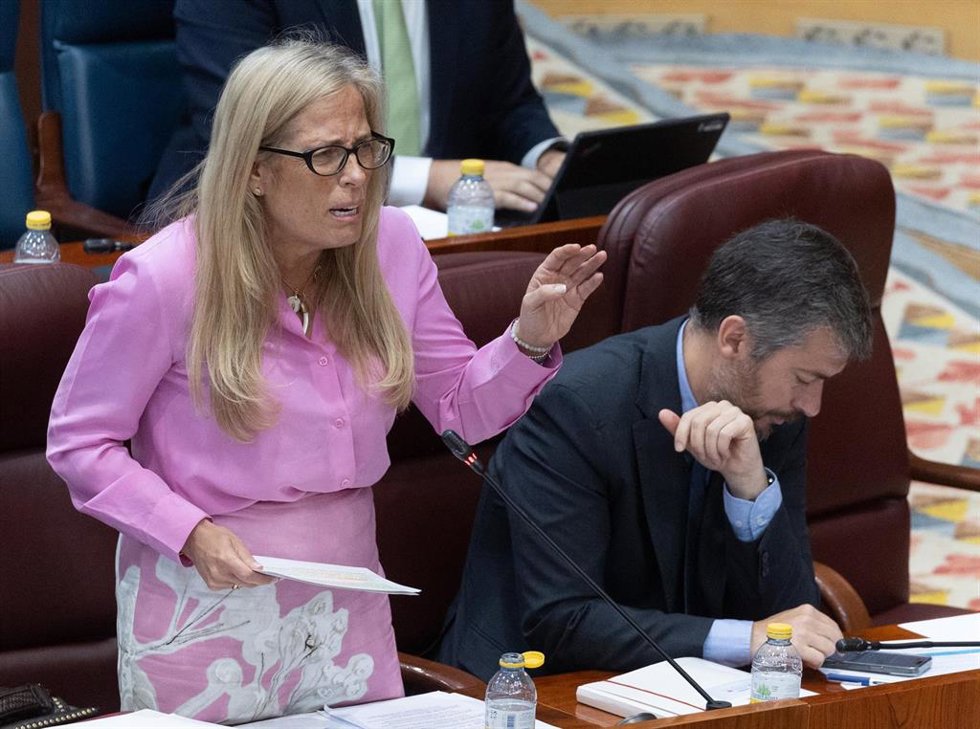Archivo - La consejera de Economía, Hacienda y Empleo de la Comunidad de Madrid, Rocío Albert, interviene durante un pleno en la Asamblea de Madrid