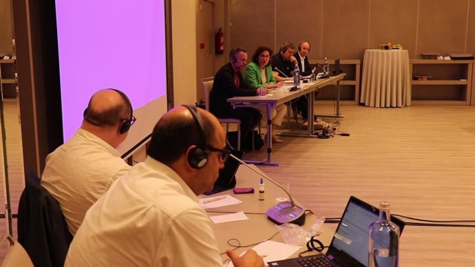 La consejera Maeztu durante su participación en el Comité Ejecutivo del Comité Europeo de Trabajadores del grupo empresarial ZF