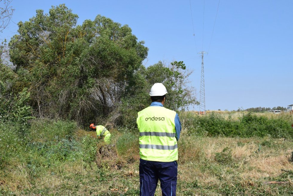 Intervención en torno a la red eléctrica.