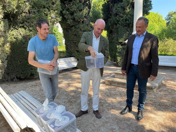 La ciudad de València combate la reproducción de mosquitos tigre con la suelta de 1,3 millones de ejemplares estériles.