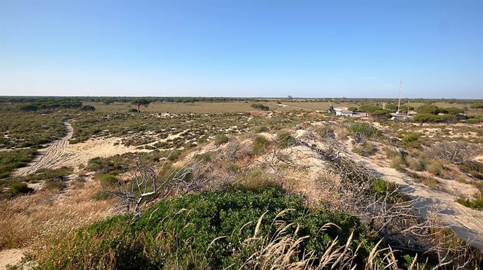 Zona del proyecto de descatalogación parcial del monte público Coto de Mazagón (Huelva).