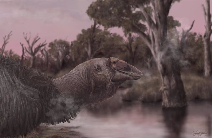 Una reconstrucción artística de la vida de Genyornis newtoni, el último de los dromornítidos, al borde del agua.