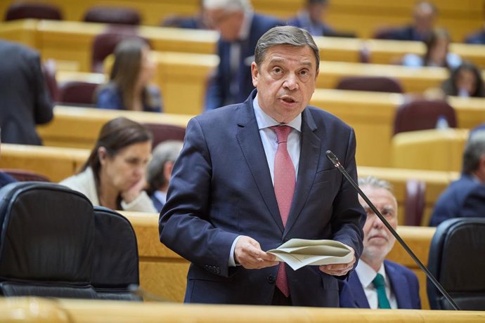 El ministro de Agricultura, Pesca y Alimentación, Luis Planas, durante una sesión de Control en el Senado, a 7 de mayo de 2024, en Madrid (España). Durante la sesión, se han abordado cuestiones como la ejecución de la construcción de la estación del tren 