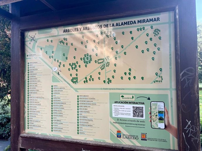 Laredo y Bosques de Cantabria crean una app interactiva sobre el arbolado de las alamedas Miramar y El Bosque