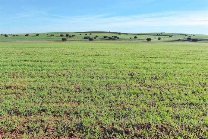 Tierras de Ciudad Real.