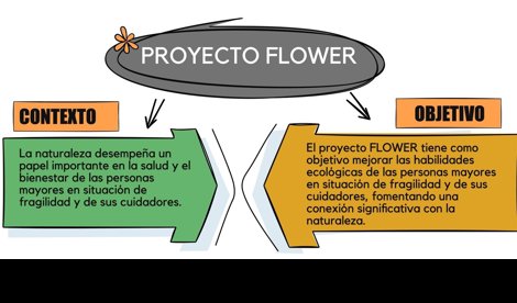 Comunicados Sociedad