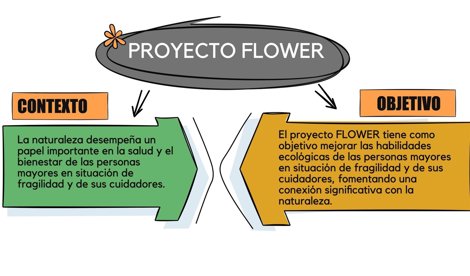 Comunicados Sociedad