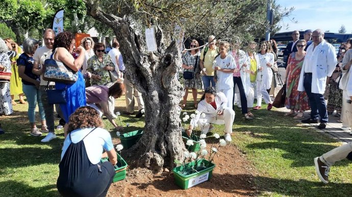 Celebración de un acto homenaje con motivo del Día Nacional del Donante.