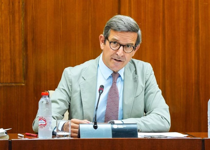 El consejero de Industria, Energía y Minas, Jorge Paradela, en comisión del Parlamento andaluz.