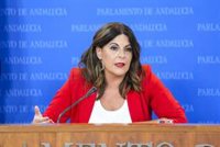 PSOE-A señala a la consejera de Salud como "la primera" que debería cesar y las "papeletas" de Del Pozo para seguirla