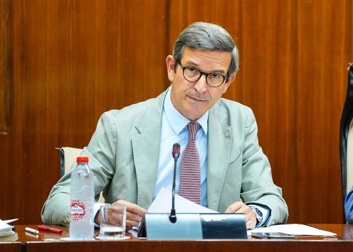 El consejero de Industria, Energía y Minas, Jorge Paradela, en comisión del Parlamento de Andalucía.