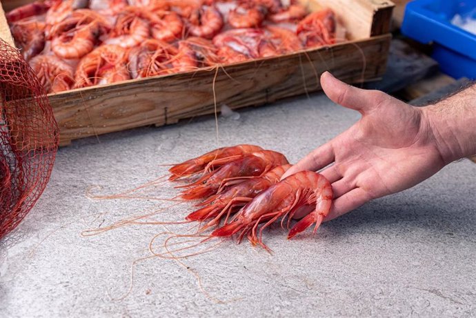 Gamba roja de Almería.