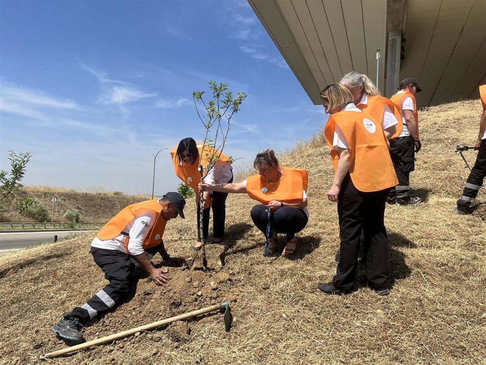 Empleados de GenteXana de intu Xanadú han llevado a cabo una plantación de árboles en las inmediaciones del complejo madrileño con motivo de la celebración del Día Mundial del Medio Ambiente el 5 de junio.