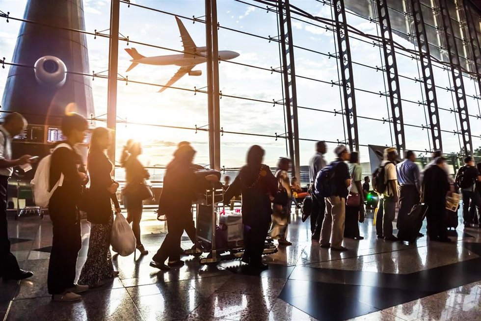 Pasaros en un aeropuerto con un avion sobrevolando de fondo