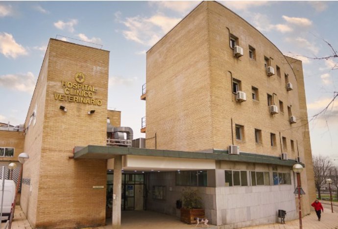 Detenido un empleado de la limpieza por violar una cabra en el Hospital Veterinario de la Complutense