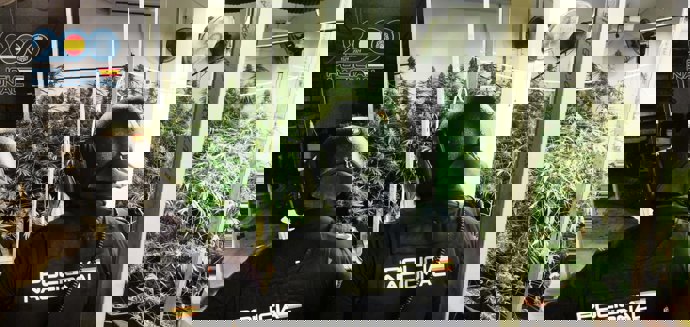 Efectivos de la Policía intervienen en la vivienda