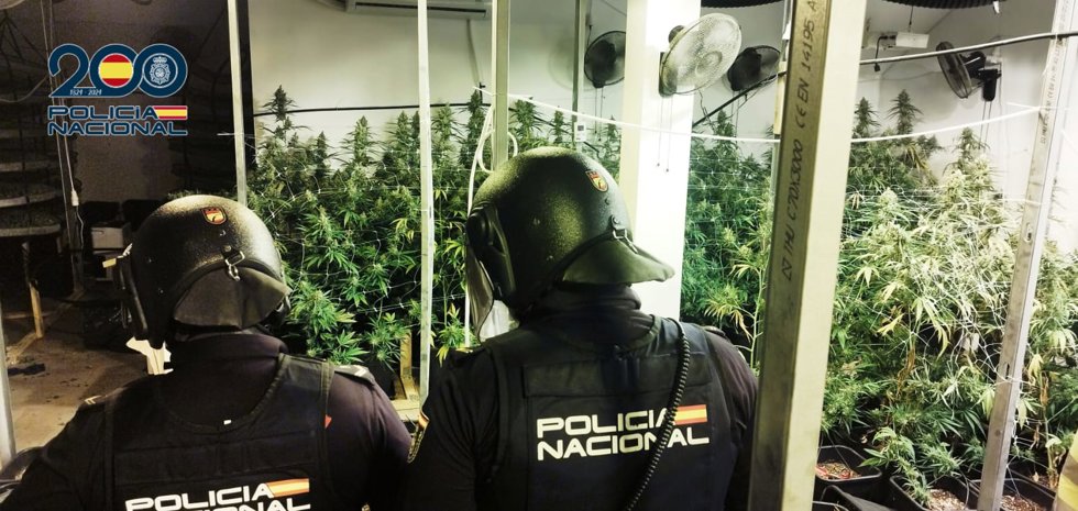 Efectivos de la Policía intervienen en la vivienda