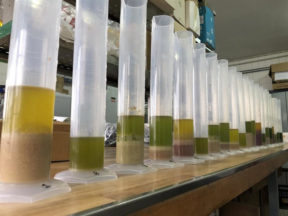 Aceites utilizados en el desarrollo de un método rápido para determinar la estabilidad oxidativa del AOVE.
