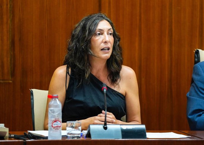 La consejera de Inclusión Social, Juventud, Familias e Igualdad, Loles López, en comisión parlamentaria.