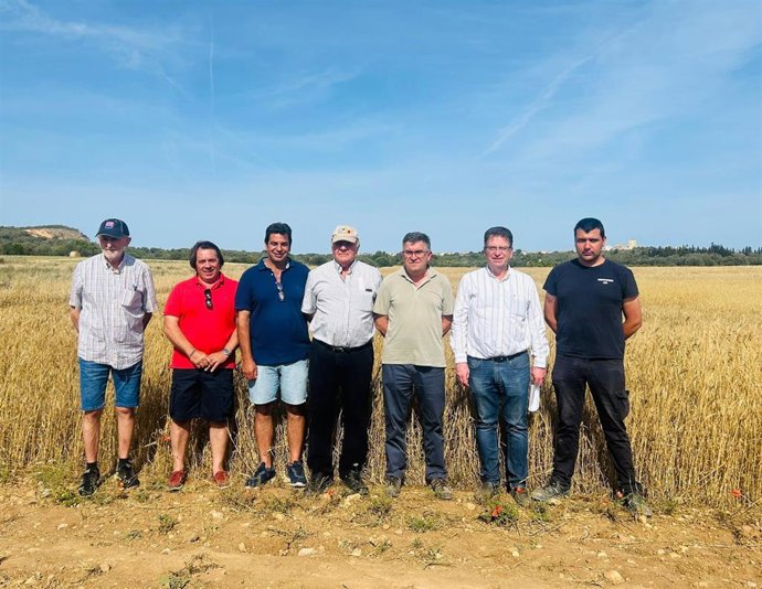 El conseller de Agricultura, Pesca y Medio Natural, Joan Simonet, visita los campos experimentales de semillas certificadas y el campo experimental de avenas mallorquinas.