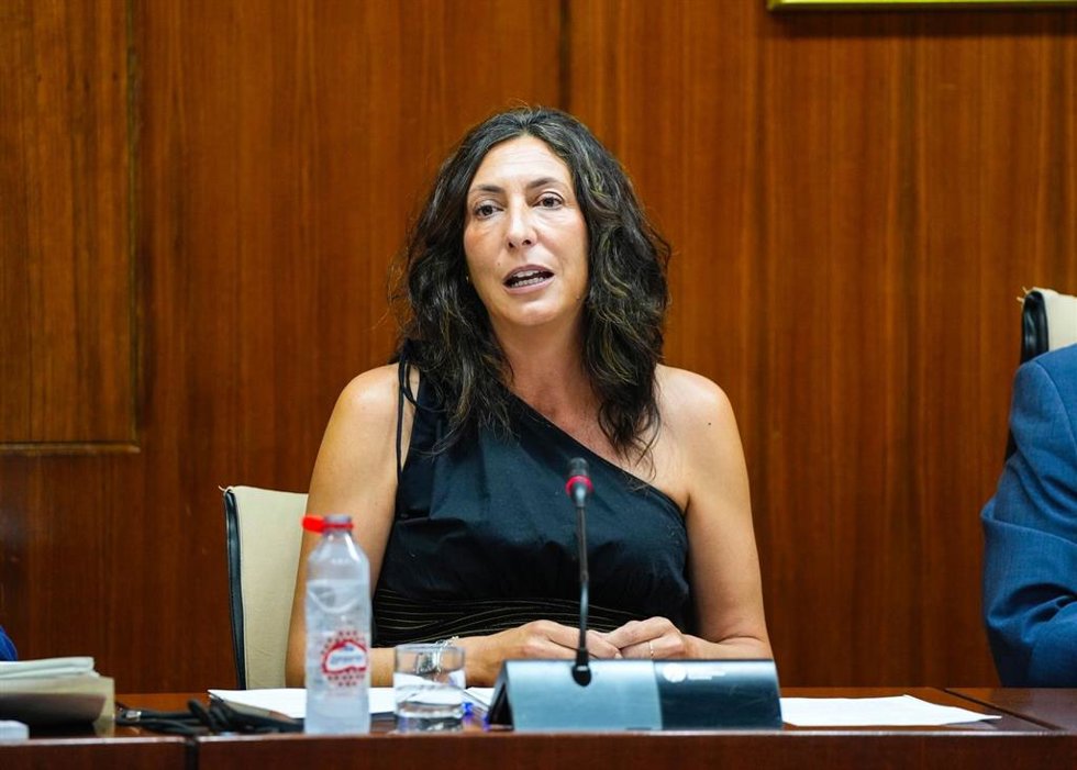 La consejera de Inclusión Social, Juventud, Familias e Igualdad, Loles López, en comisión parlamentaria.