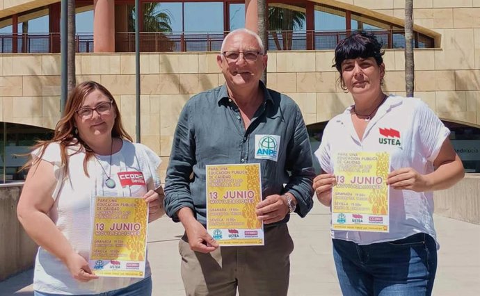 Los tres sindicatos que convocan la manifestación docente del próximo 13 de junio son ANPE, Ustea y CCOO.