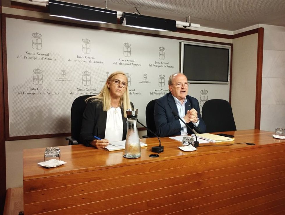 Los diputados 'populares' Susana Fernández y José Cuervas-Mons.