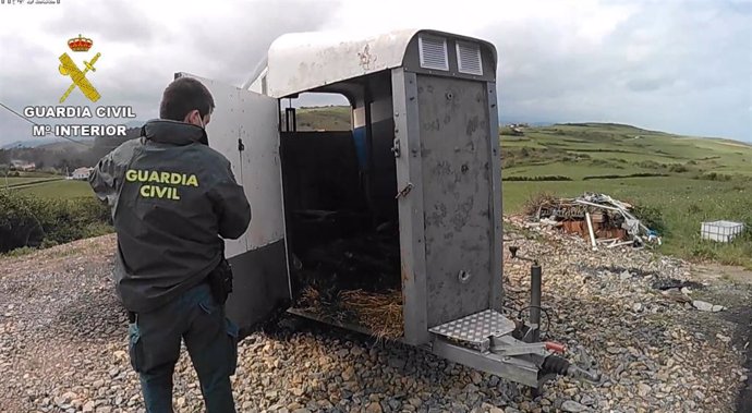 Archivo - Investigación de la Guardia Civil en una explotación ganadera de Gozón.