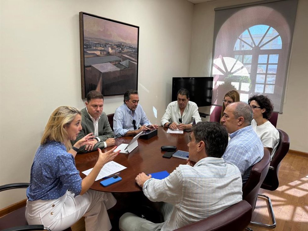 La alcaldesa de la ciudad, Ana Isabel Jiménez, junto con del delegado municipal de Urbanismo, Jesús Mora, han mantenido una reunión con los responsables de la compañía eléctrica para establecer un grupo de trabajo.