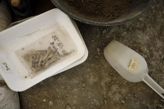 Archivo - Excavación de la fosa común. A 04 de mayo de 2023, en Víznar, Granada (Andalucía, España). Inicio de la tercera campaña de exhumaciones de víctimas del franquismo en el barranco de Víznar. El equipo interdisciplinar liderado por la Universidad