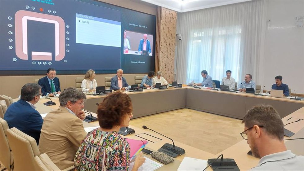 El conseller de Empresa, Empleo y Energía, Alejandro Sáenz de San Pedro, durante su comparecencia en la Comisión de Economía del Parlament.