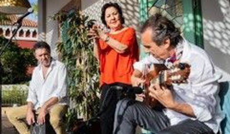 Comunicados Sociedad