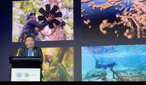 Comunicados Internacional