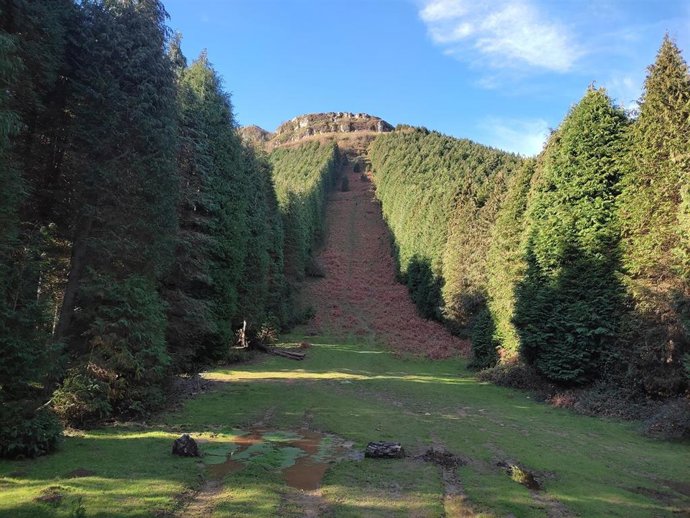 Archivo - Monte Eretza (Bizkaia)