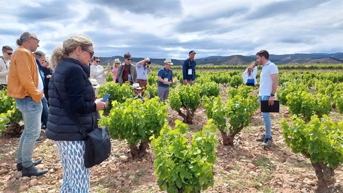 Rioja Camp, el programa formativo en vino más exclusivo de España hecho realidad