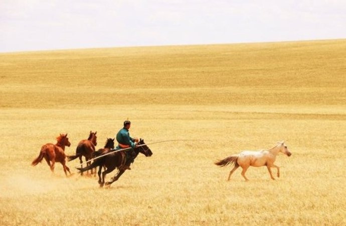 Pastores de caballos montando, guiando, atrapando o disfrutando de sus caballos en Mongolia Interior, China, julio de 2019.