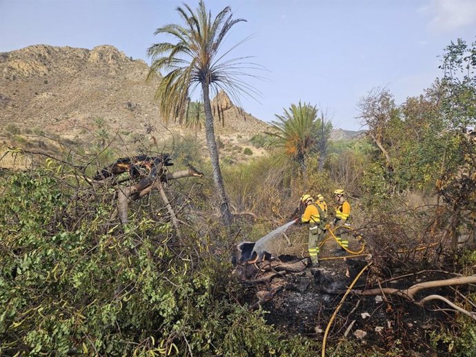 Incendio forestal en la Sierra del Salitre, en Ricote (Murcia)