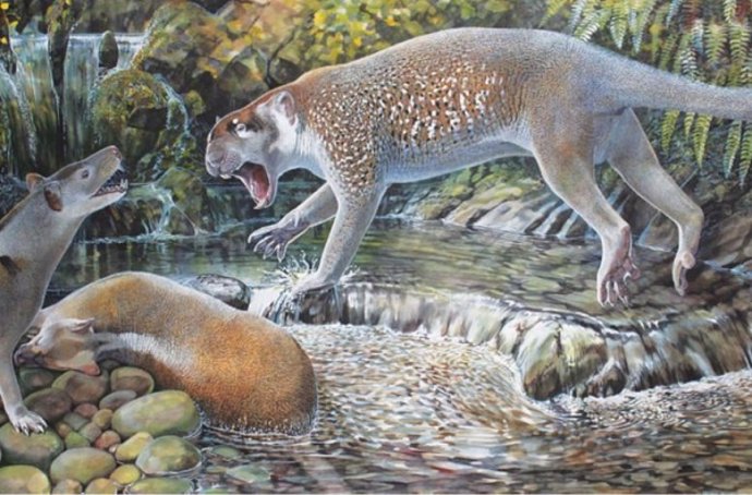 Archivo - Ilustración de la especie de león marsupial extinta 'Wakaleo schouteni'
