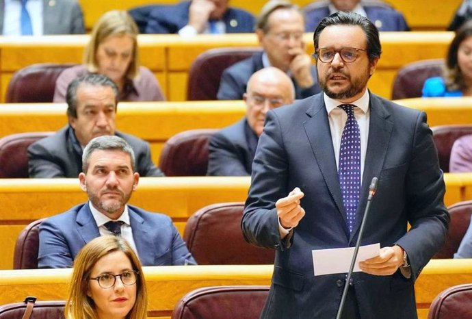 El senador del Partido Popular por Gran Canaria y vicealcalde de Telde, Sergio Ramos