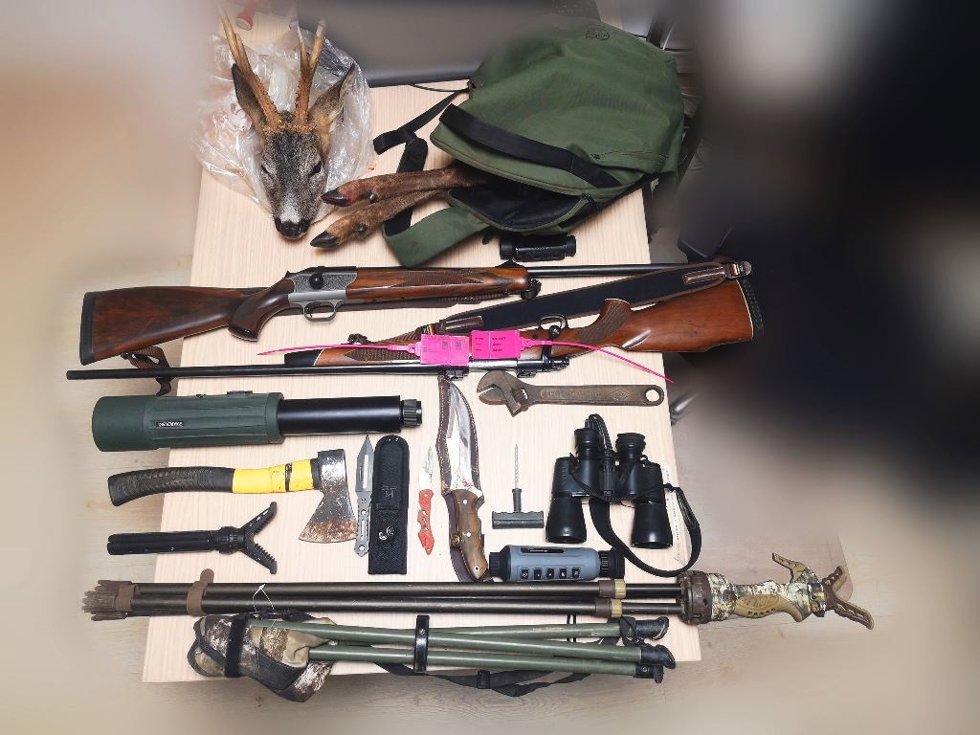 Cabeza de corzo y otras herramientas localizadas por los agentes