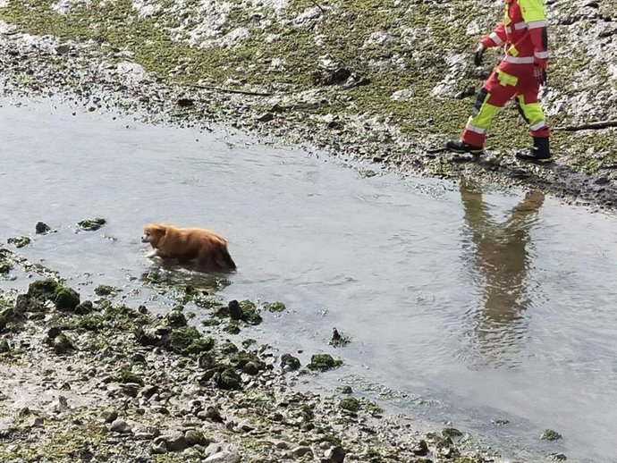 Los bomberos rescatan a un perro que se cayó a la ría de Gama