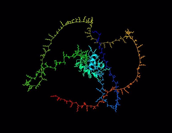 Estructura de la histona H1 de Drosophila (predicción del programa de IA