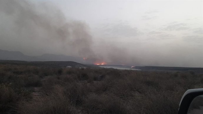 Incendio forestal en Níjar (Almería).