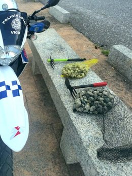 Identificados dos furtivos que mariscaban ilegalmente en una playa de Teis (Vigo)