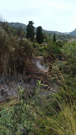 Bomberos del Ibanat apagan un incendio en Sóller.