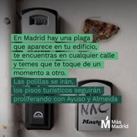 Más Madrid advierte de dos plagas: "Las polillas se irán, los pisos turísticos proliferarán con Ayuso y Almeida"