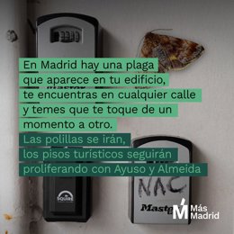 Más Madrid advierte de dos plagas: "Las polillas se irán, los pisos turísticos proliferarán con Ayuso y Almeida"