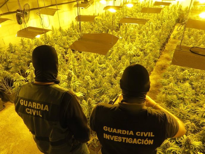 Desarticulados siete centros de producción de marihuana en Atarfe y Moraleda de Zafayona (Granada).